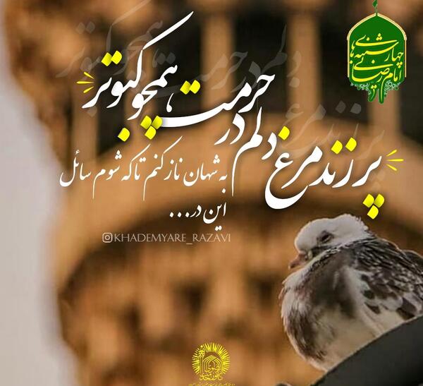 عکس نوشته مشهد رفتن