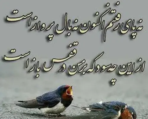 عکس نوشته نه پای رفتنم اکنون نه بال پرواز است