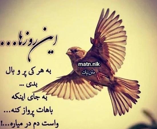 عکس نوشته نه پای رفتنم اکنون نه بال پرواز است