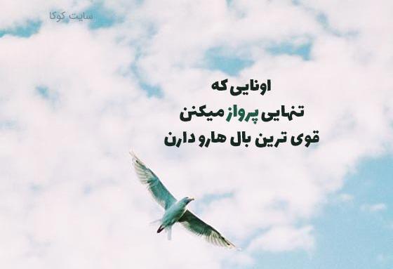 عکس نوشته نه پای رفتنم اکنون نه بال پرواز است