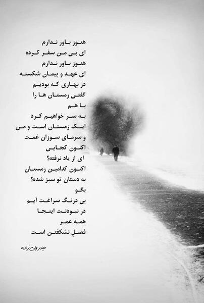 عکس نوشته رفتنت در باورم نیست دایی جان