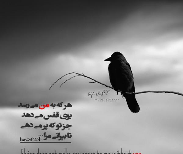 عکس نوشته رفتنت در باورم نیست دایی جان