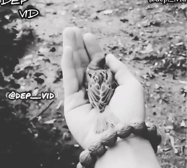 عکس نوشته رفتنی راهش را پیدا میکند