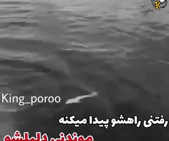 عکس نوشته رفتنی راهش را پیدا میکند