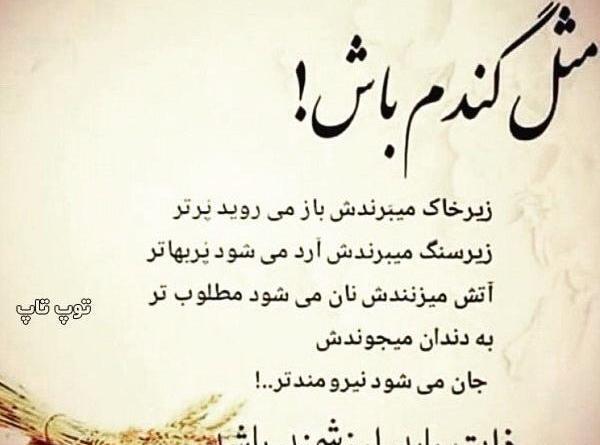 عکس نوشته در مورد بی ذاتی
