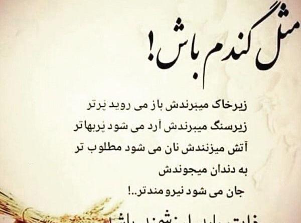 عکس نوشته درباره آدم بی ذات