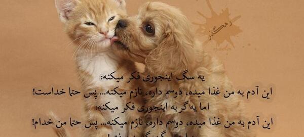 دخترونه عکس نوشته گربه عاشقانه