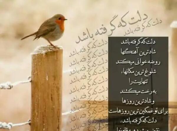 عکس نوشته دلت که گرفته باشه