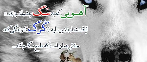 عکس نوشته عاشقانه خیانت