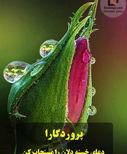 عکس نوشته خدایا ممنونم که کمکم کردی