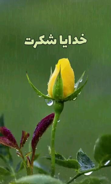 عکس نوشته متحرک خدایا شکرت