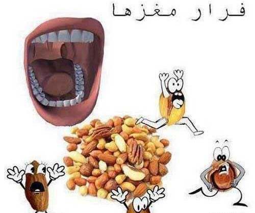 عکس نوشته ماشا خنده دار