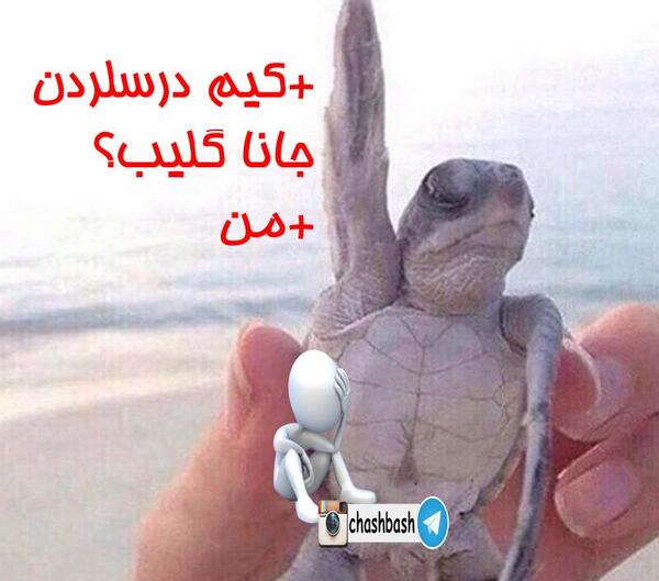 عکس نوشته ترکی خنده دار