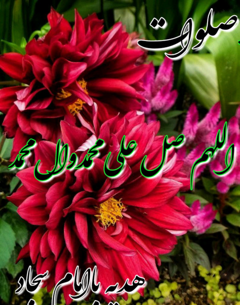 عکس نوشته صلوات خاصه امام سجاد