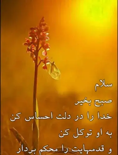 عکس نوشته الهی حال دلتون خوب باشه