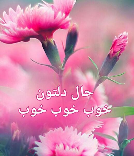 عکس نوشته الهی حال دلتون خوب باشه