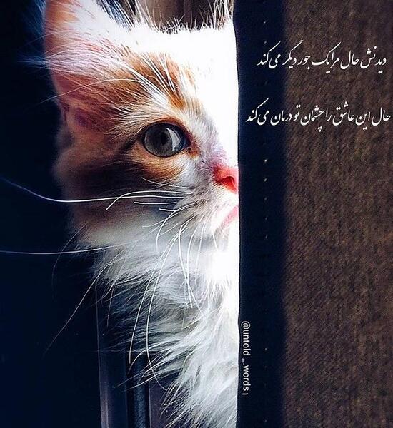 عکس نوشته درباره دختر چشم و ابرو مشکی