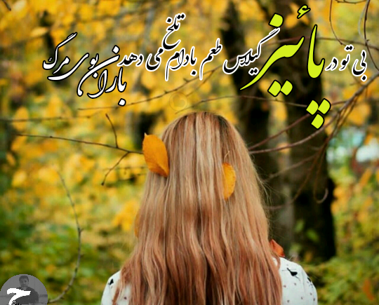 عکس نوشته بوی پاییز می آید