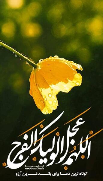 عکس نوشته عصر پاییزی