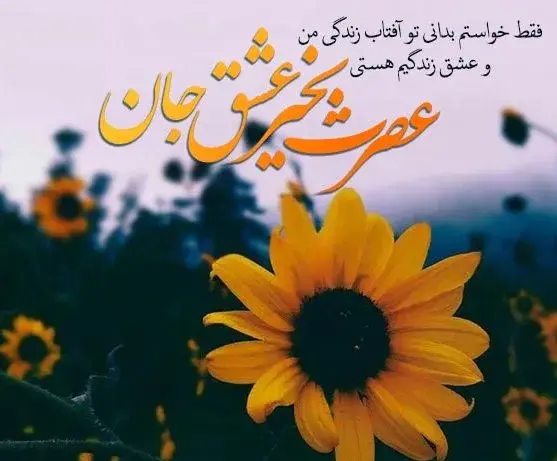 عکس نوشته عصر پاییزی