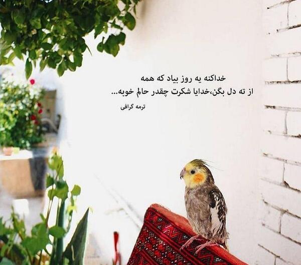 عکس و نوشته پروفایل