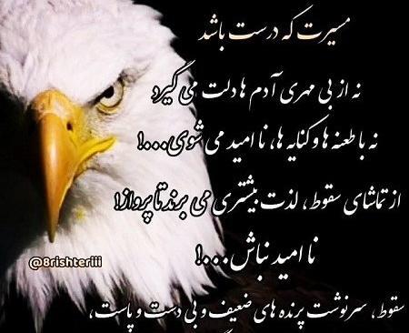 سنگین پرمعنی عکس نوشته عقاب برای پروفایل