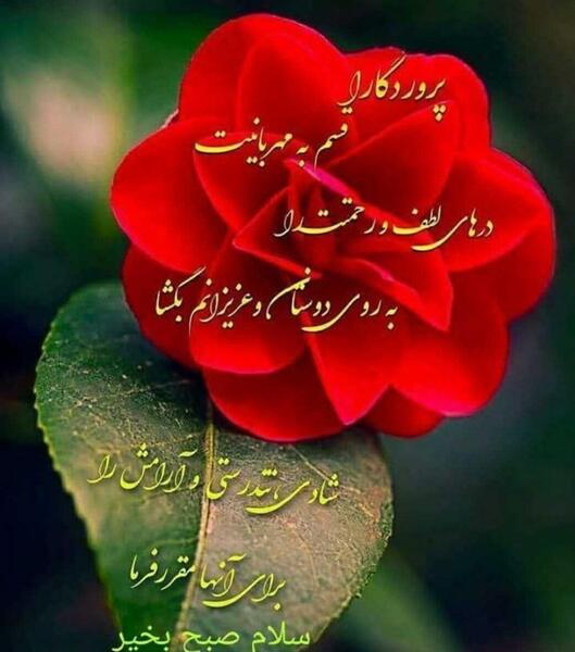 عکس نوشته صبح بخیر برادرم