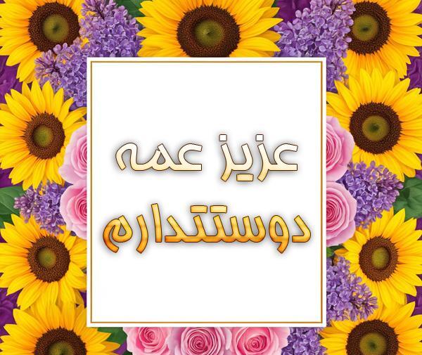 عکس نوشته درمورد برادر زاده