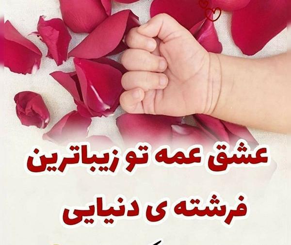عکس نوشته برادرزاده یعنی