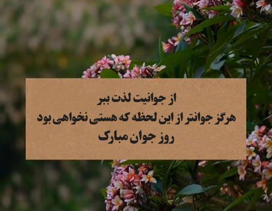 عکس نوشته برادرزاده یعنی