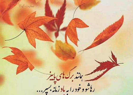 عکس نوشته ارام شده ام مثل درختی در پاییز