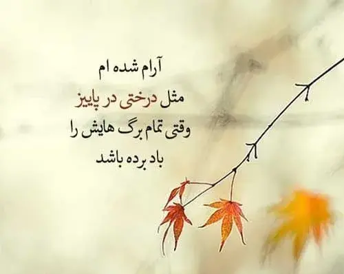 عکس نوشته ارام شده ام مثل درختی در پاییز