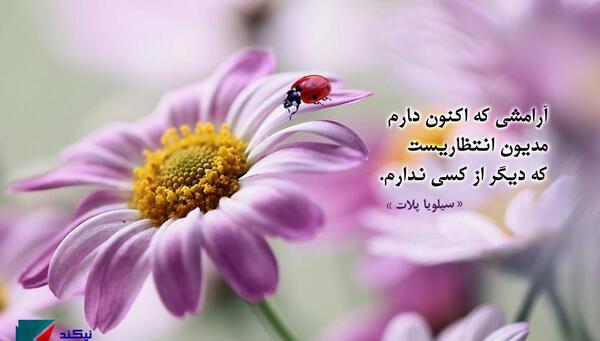 عکس نوشته آرامشی که اکنون دارم