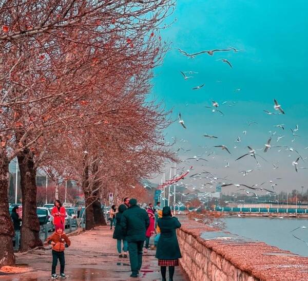 عکس نوشته خدایا آرامشی عطا فرما
