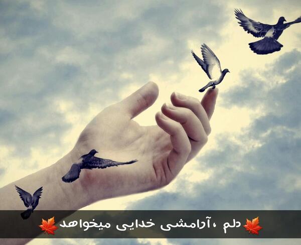 عکس نوشته دلم آرامش خدایی میخواهد