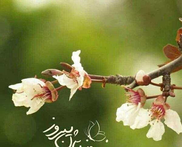 عکس نوشته به تقویم ها اعتمادی نیست