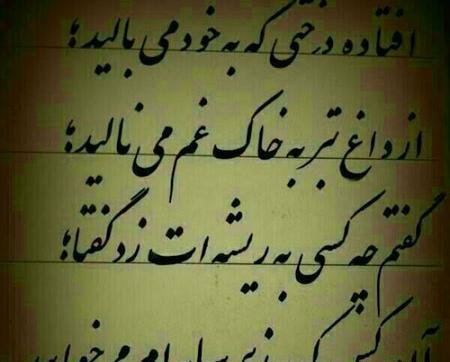 عکس نوشته اعتماد نکردن به دیگران