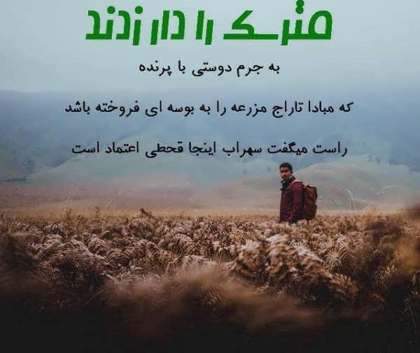 عکس نوشته دیگه به هیشکی اعتماد ندارم