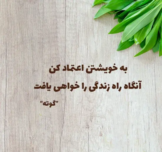 عکس نوشته به ادما اعتماد نکن