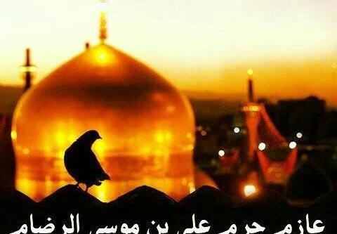 عکس نوشته نائب الزیاره شما در حرم امام رضا هستم