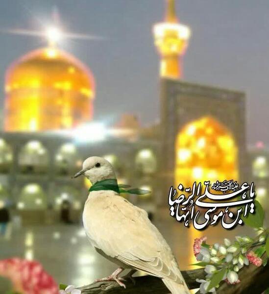 عکس نوشته چهارشنبه امام رضایی