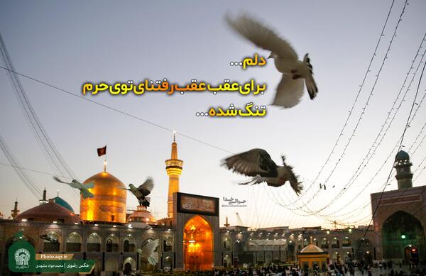 عکس نوشته چهارشنبه های امام رضایی