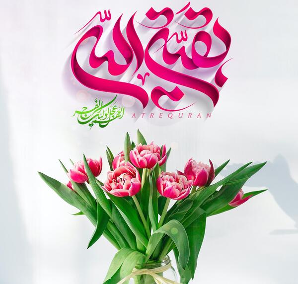 عکس نوشته یا بقیه الله