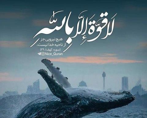 عکس نوشته ی ماشاالله