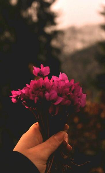 عکس نوشته یدالله فوق ایدیهم