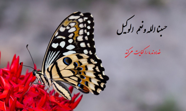 عکس نوشته ذکر افوض امری الی الله