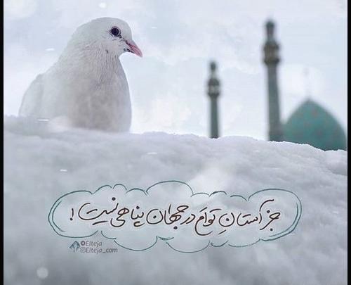 عکس نوشته سلام بر امام زمانم
