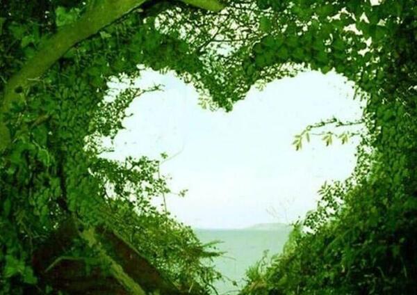 عکس نوشته گل برای پروفایل