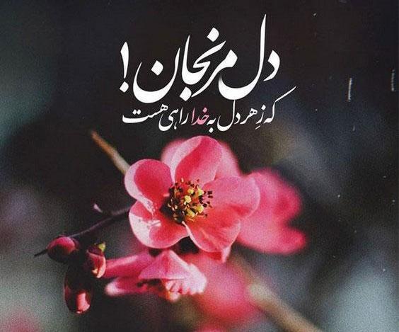 عکس پروفایل گل با نوشته خدا