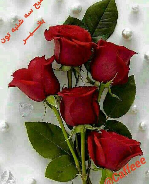 عکس نوشته صبح سه شنبتون بخیر